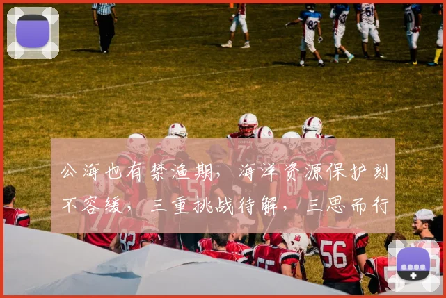 公海也有禁渔期，海洋资源保护刻不容缓，三重挑战待解，三思而行。