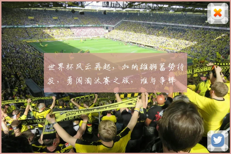 世界杯风云再起，加纳雄狮蓄势待发，勇闯淘汰赛之旅，谁与争锋