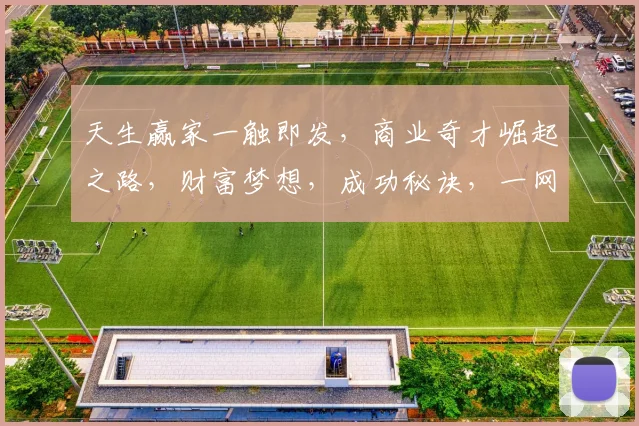 天生赢家一触即发，商业奇才崛起之路，财富梦想，成功秘诀，一网打尽