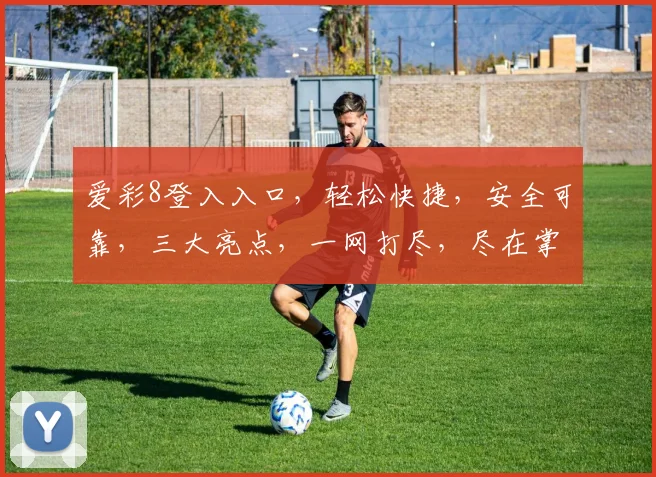 爱彩8登入入口，轻松快捷，安全可靠，三大亮点，一网打尽，尽在掌握
