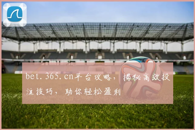bet.365.cn平台攻略，揭秘高效投注技巧，助你轻松盈利